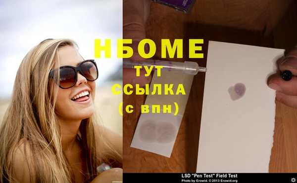 дмт Дмитров