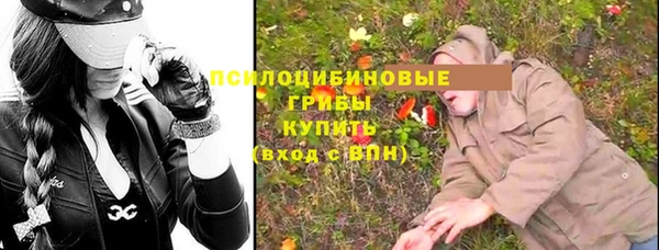 spice Фурманов
