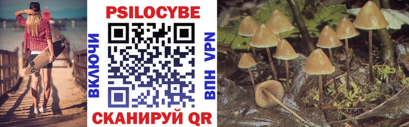 Псилоцибиновые грибы Psilocybine cubensis  Купить  Пролетарск 